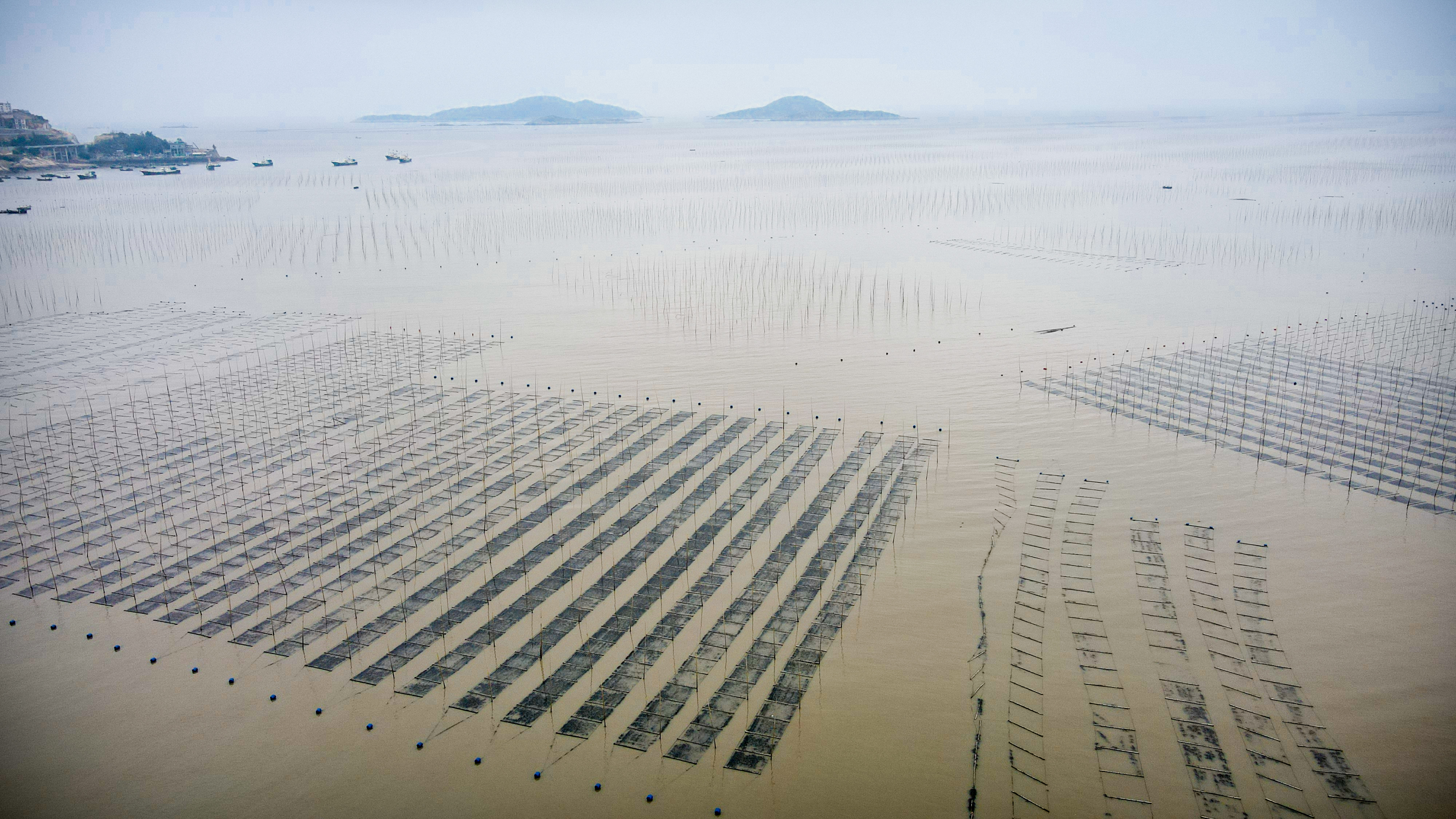 霞浦小众网红景点，三沙光影栈道，赏海上渔晖绝佳地