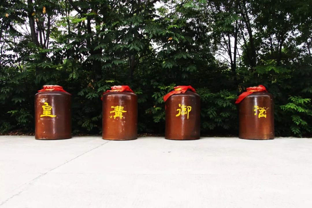 进车间、走林间、“抓活鱼”，汉兴网记者蹲基层