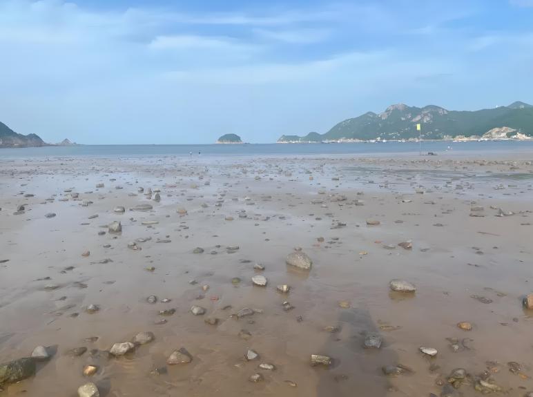 福建霞浦自驾新爆点！积石沙滩赶海全攻略，承包你的初春浪漫！