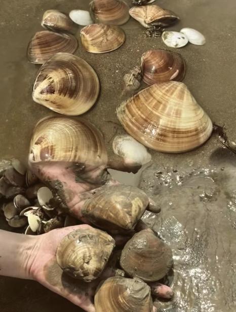 福建霞浦自驾新爆点！积石沙滩赶海全攻略，承包你的初春浪漫！