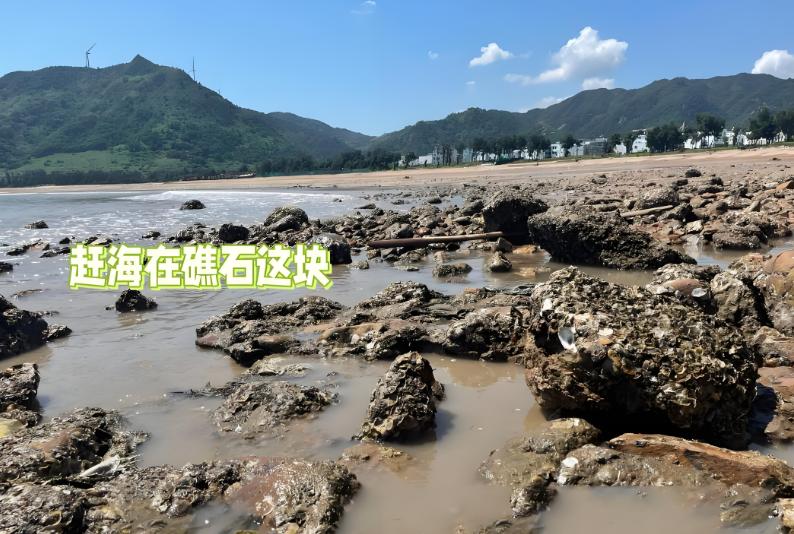 福建霞浦自驾新爆点！积石沙滩赶海全攻略，承包你的初春浪漫！
