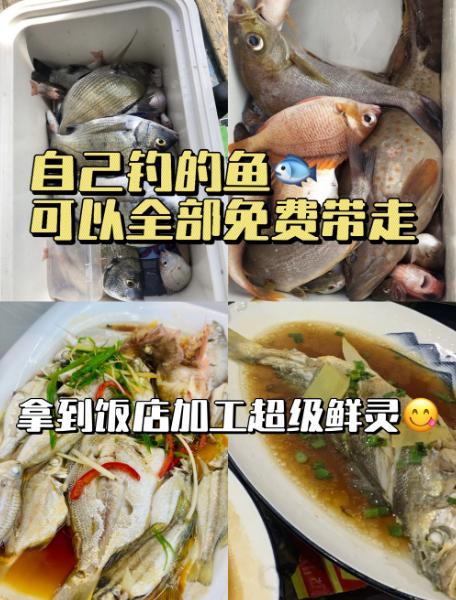 福建霞浦自驾新爆点！积石沙滩赶海全攻略，承包你的初春浪漫！