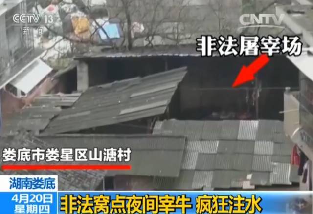 我要举报！在唐山举报这些违法行为，最高奖励10万元！