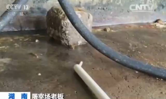 我要举报！在唐山举报这些违法行为，最高奖励10万元！