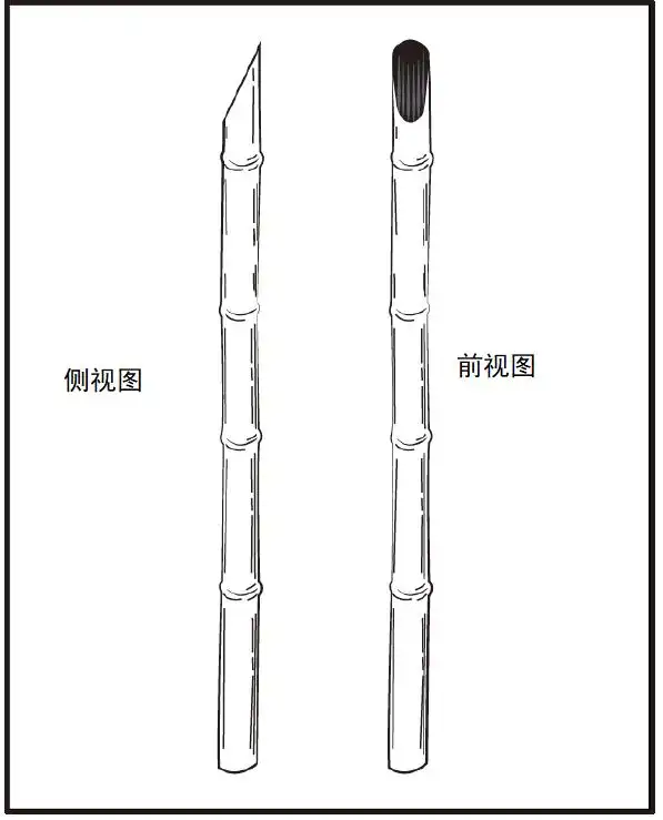 野外生存训练——如何制作应急工具？