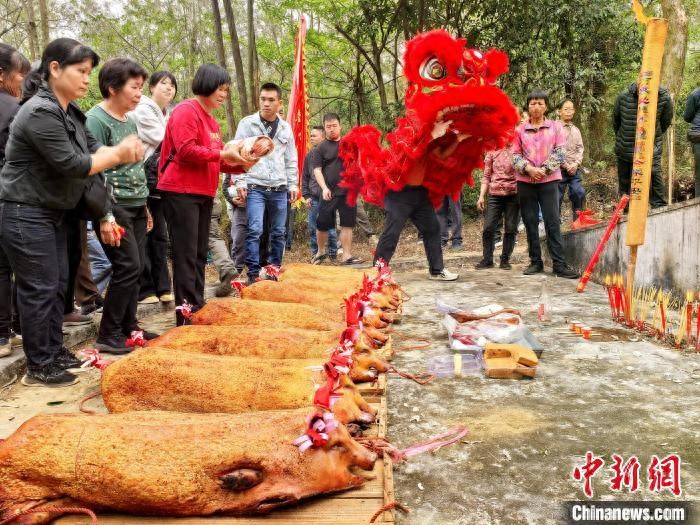 (侨乡新貌)广东台山侨胞回乡祭祖  “侨经济”成消费新引擎