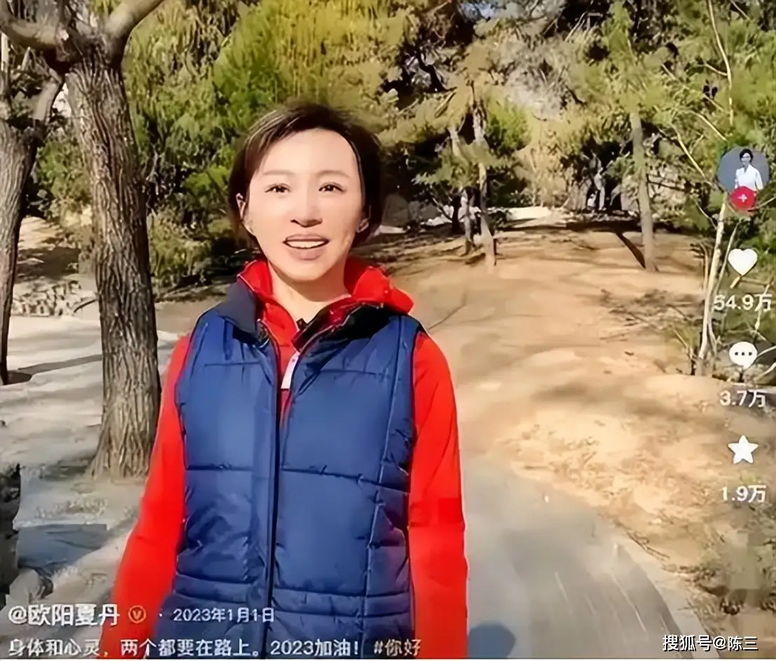 “落毛凤凰不如鸡” 离开央视两年再看欧阳夏丹现状,李思思没说错