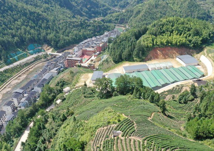 新华社今日聚焦福建:鸾峰桥见证——闽东宁德振兴启示录