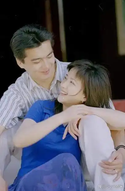 离婚21年，再回首许亚军与何晴，映射出不少离婚中年夫妻的困境
