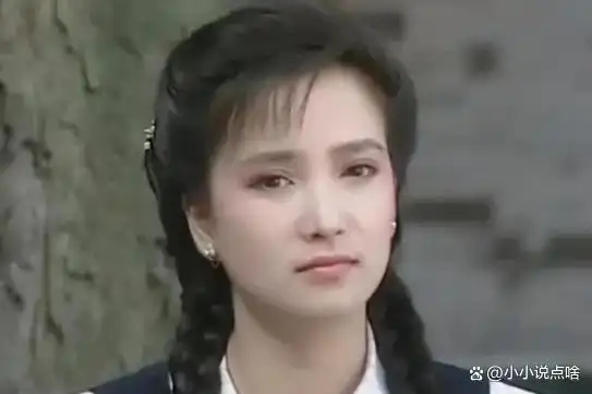 离婚21年，再回首许亚军与何晴，映射出不少离婚中年夫妻的困境