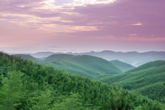 衡阳:雁城 北雁南飞,至此歇翅停回