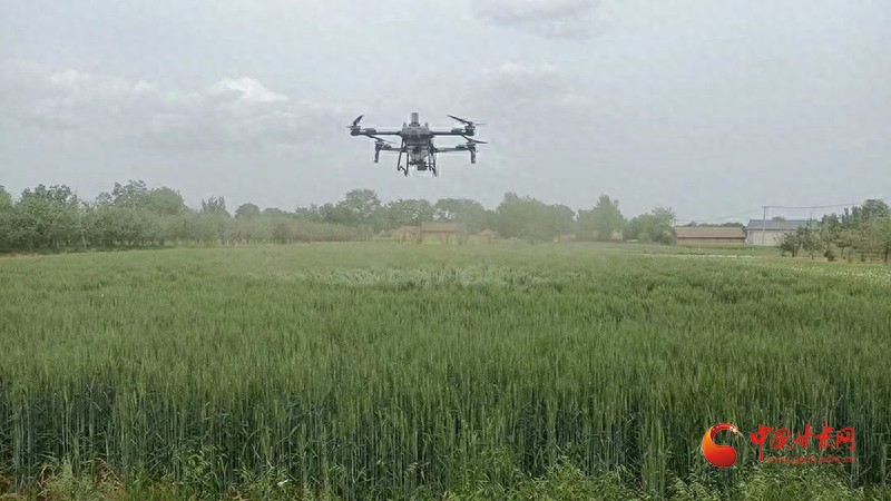 泾川：打好“五招组合拳”筑牢粮食稳产根基