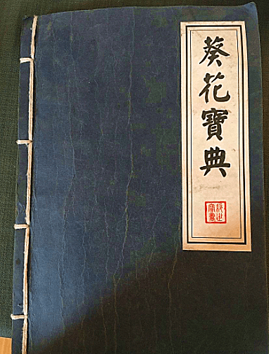 验证码-5.png