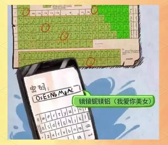 高中生利用短信验证码非法获利14万:网络风险揭秘与安全建议
