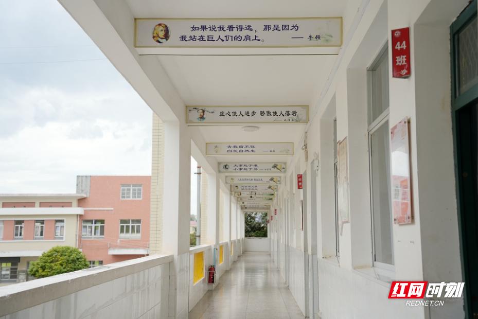 乡行“曼”记丨千年长寿 诗意栖居