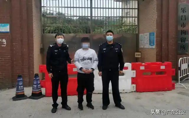 曝光!团伙租豪车碰瓷300多起,28名成员全部落网!