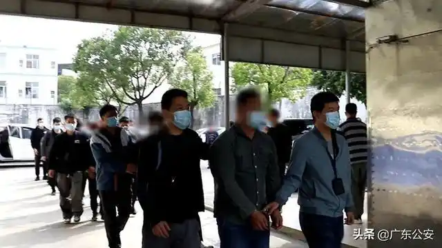 曝光!团伙租豪车碰瓷300多起,28名成员全部落网!