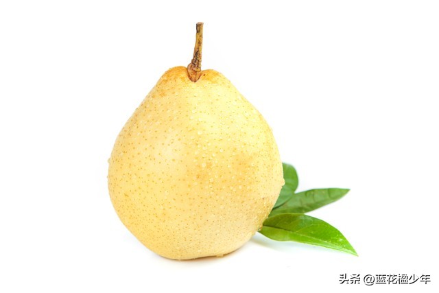 晋州:一座把鸭梨炼成“仙丹”的魔幻小城
