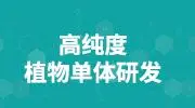 唐僧是金蝉子转世，金蝉子是谁？曾让三界闻风丧胆，被接引佛降伏