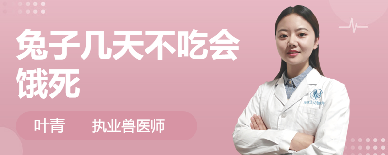 兔子几天不吃会饿死