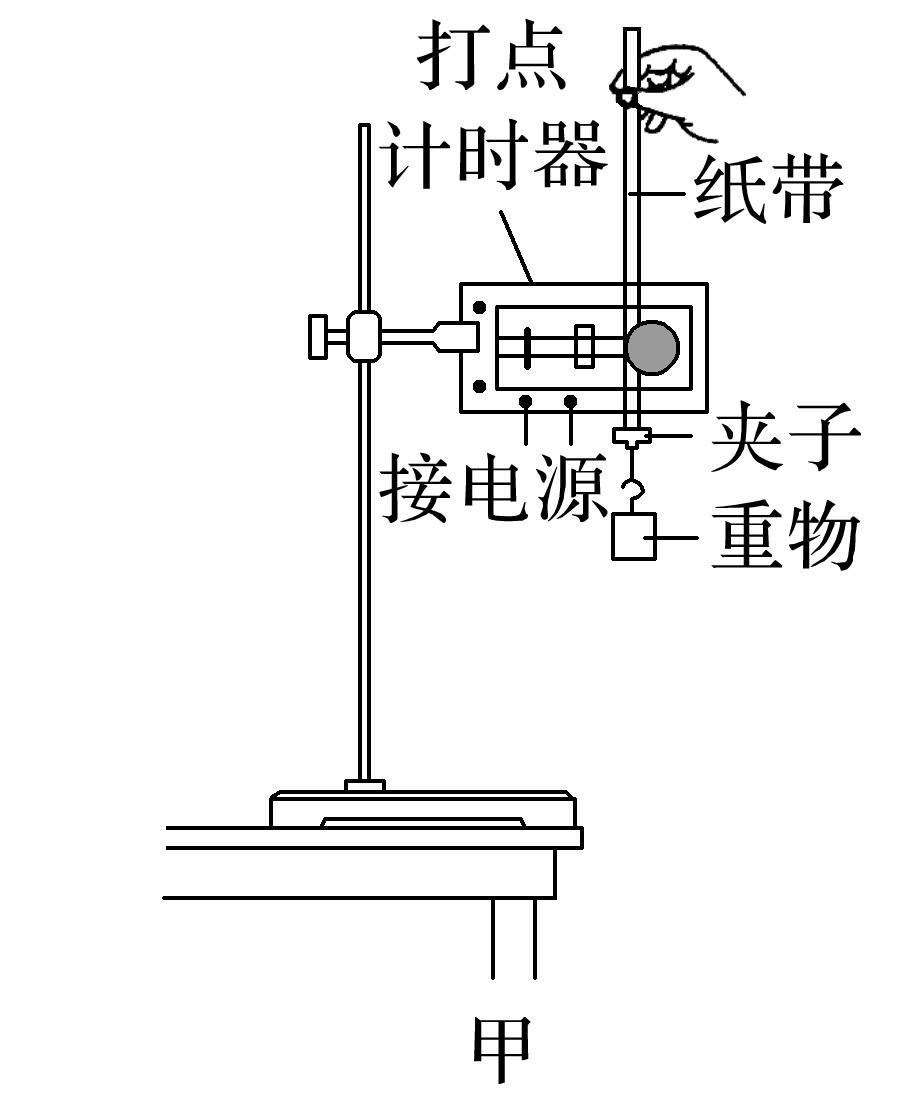 高中物理专题——自由落体运动