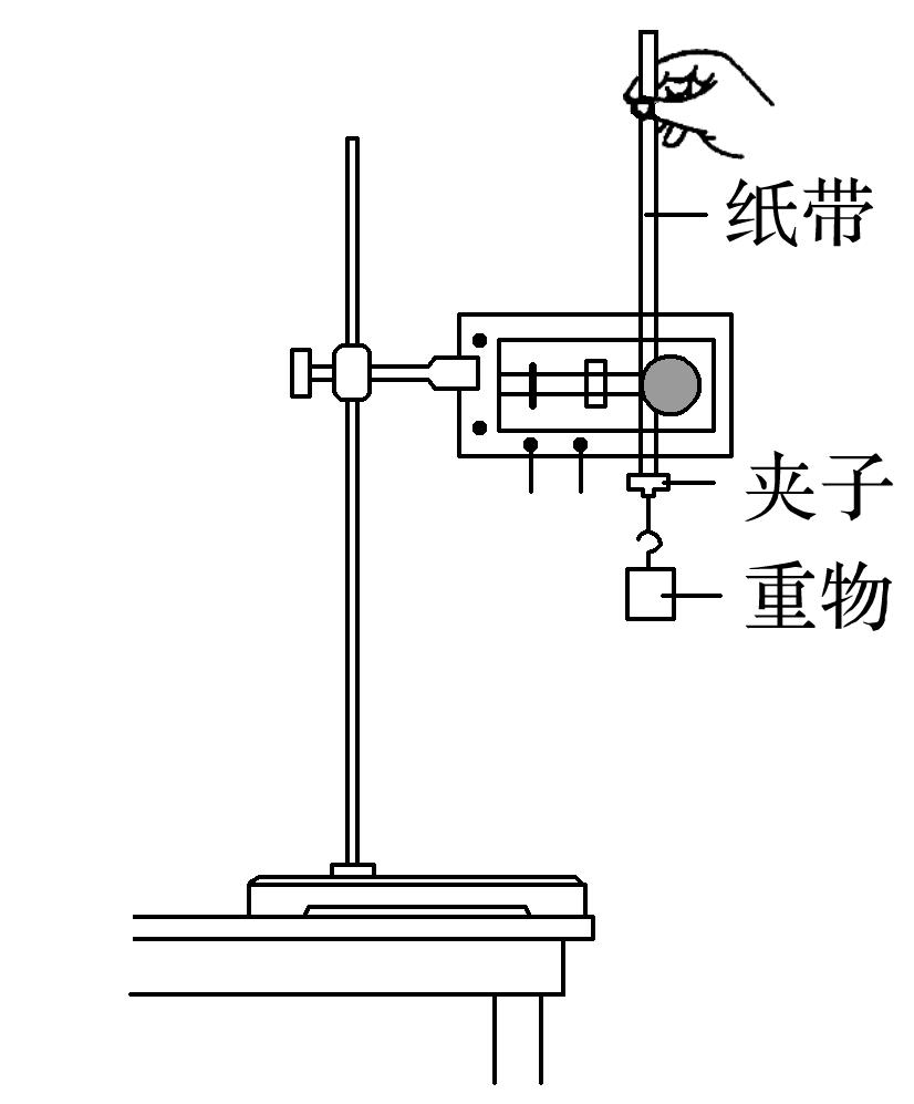 高中物理专题——自由落体运动
