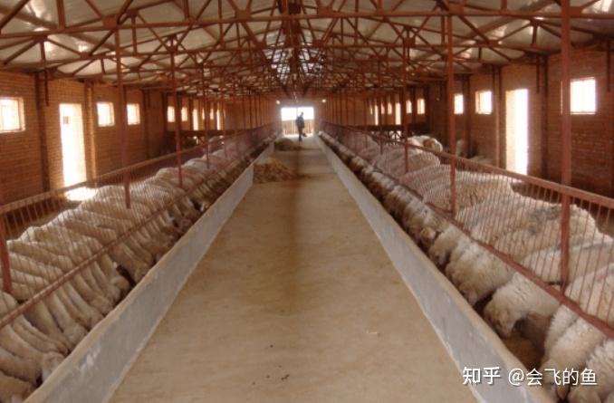 山西省忻州市河曲县农副产品介绍