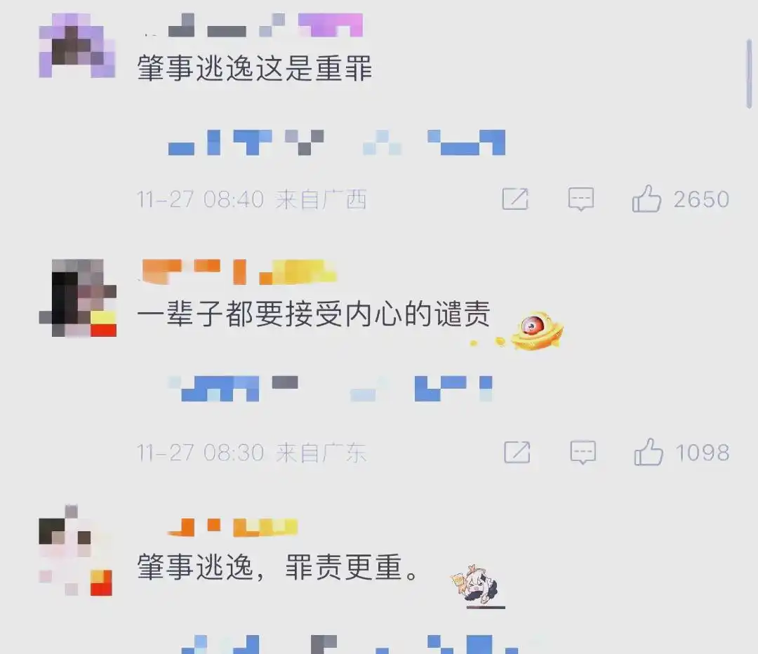 湖北一男子肇事逃逸致人死亡被拘，引发社会哗然与法律严惩