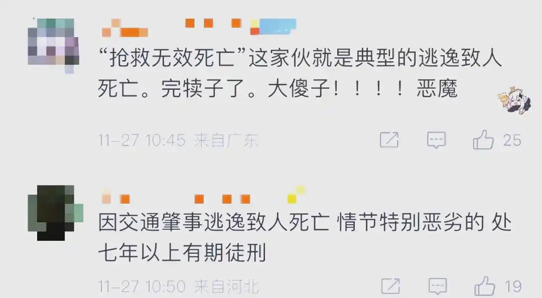 湖北一男子肇事逃逸致人死亡被拘，引发社会哗然与法律严惩