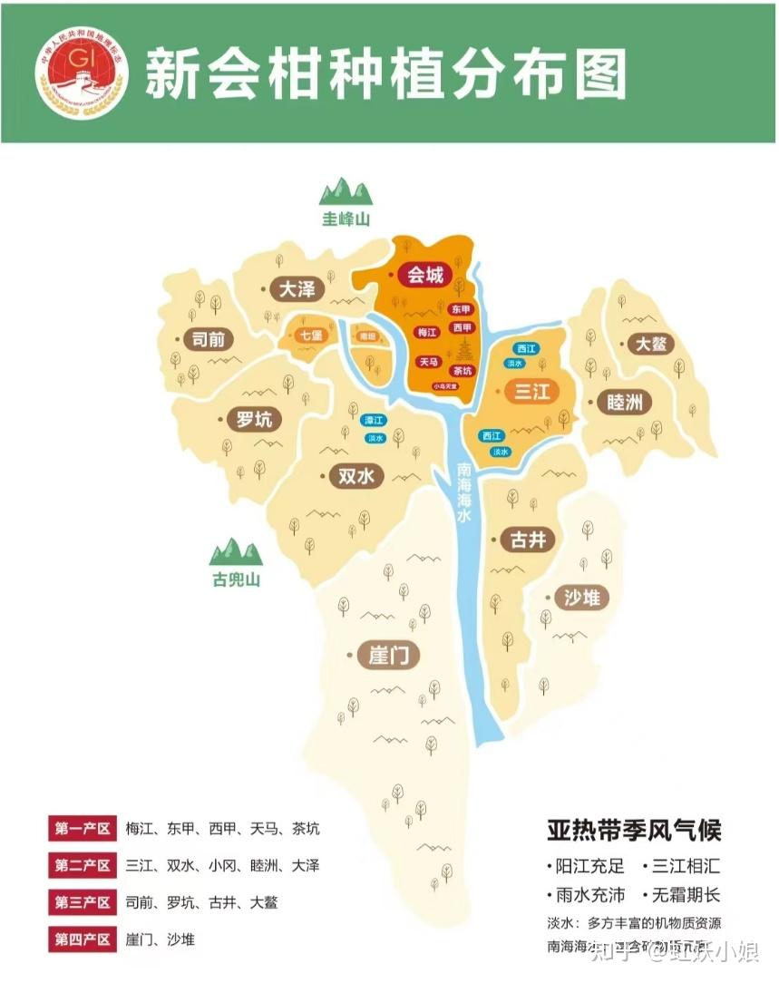 新会陈皮是智商税吗？新会陈皮和普通陈皮有什么区别？2025年正宗新会陈皮品牌推荐