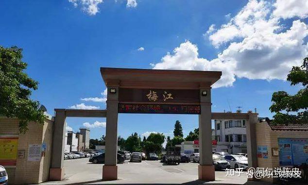最新2022新会陈皮十大品牌排名榜产区排名（持续更新）