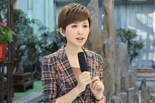 “央视国脸”欧阳夏丹：父亲病逝母亲又患癌，今43岁仍单身未嫁