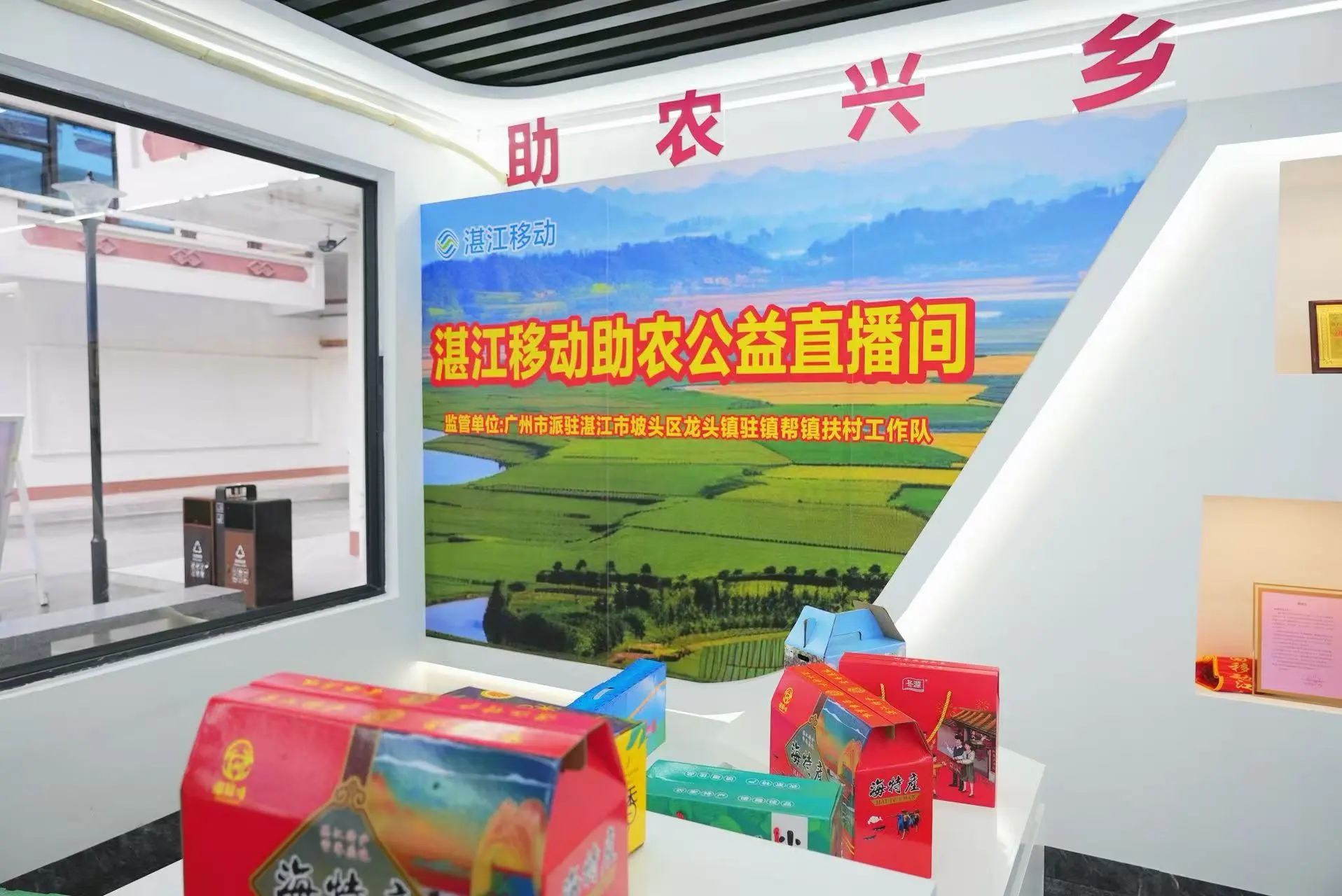 湛江市政协主要领导率队到坡头区调研“百千万工程”推进工作
