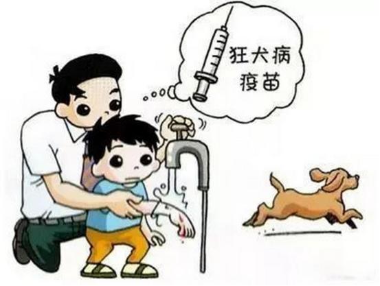 【健康科普】不容忽视的“狂犬病”