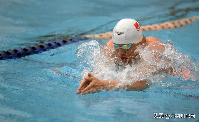 跳水男队员的“难言之隐”：刮体毛是基本要求，泳裤太小备受关注
