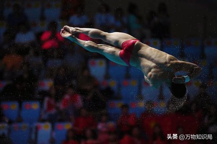 跳水男队员的“难言之隐”：刮体毛是基本要求，泳裤太小备受关注