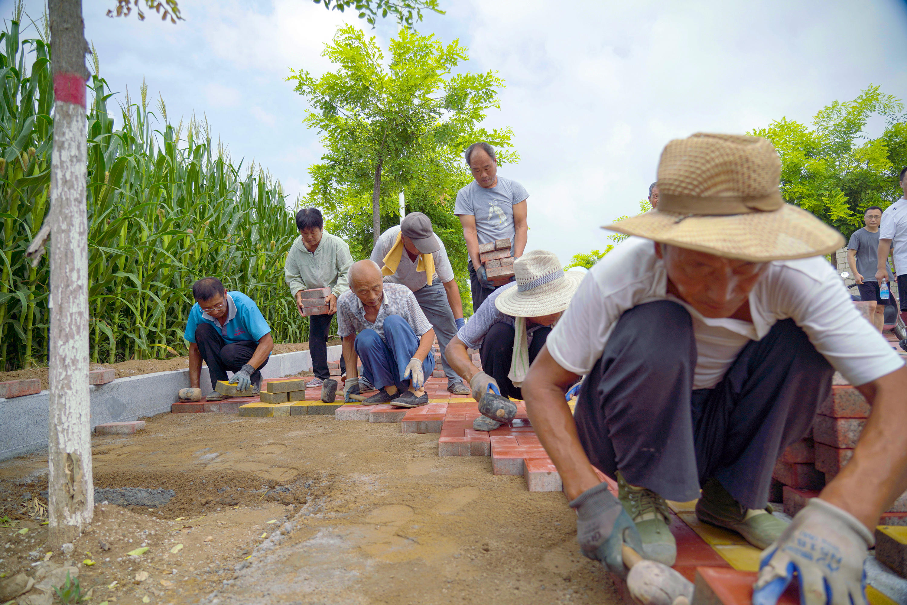 衡水：以工代赈惠民生 共富路上步履稳