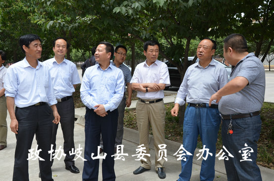 市政协来岐专题视察蔡家坡经济技术开发区发展情况