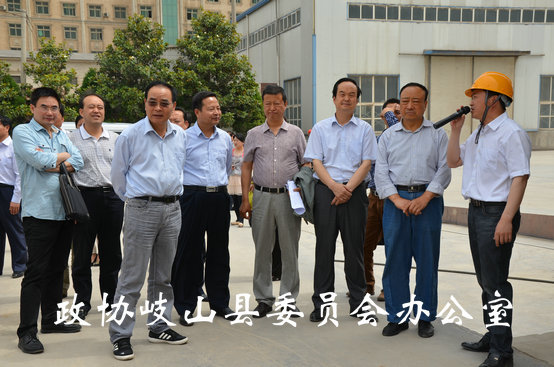 市政协来岐专题视察蔡家坡经济技术开发区发展情况