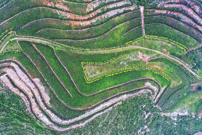 河北峰峰矿区修复“生态伤疤”用绿色拓展空间