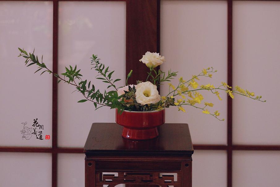 茶席上，听花开的声音