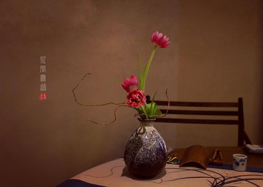 茶席上，听花开的声音