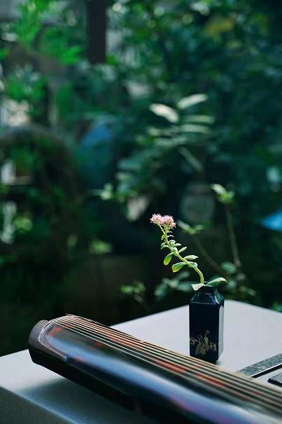 茶席上，听花开的声音