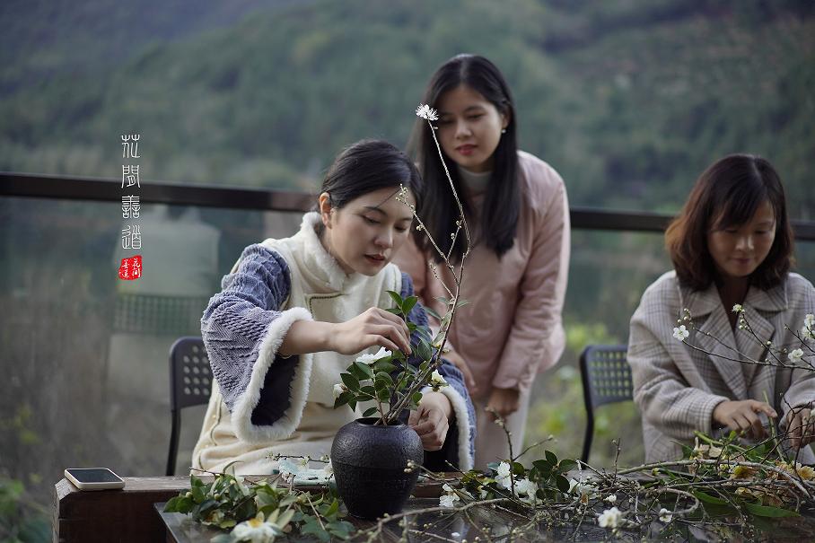 茶席上，听花开的声音