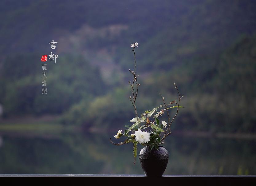 茶席上，听花开的声音