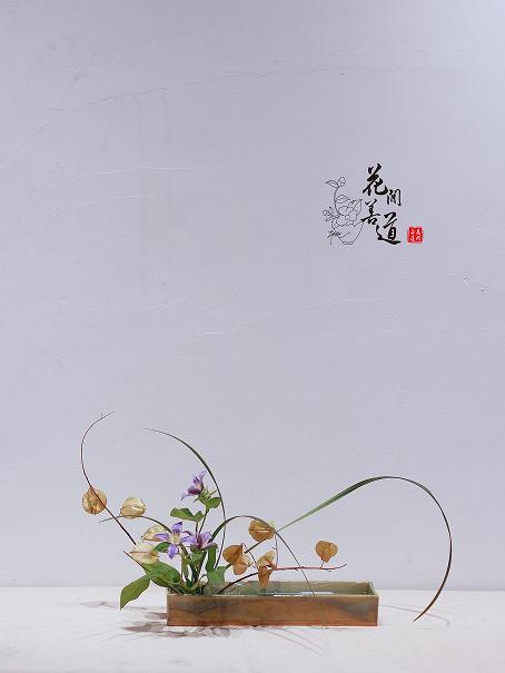 茶席上，听花开的声音