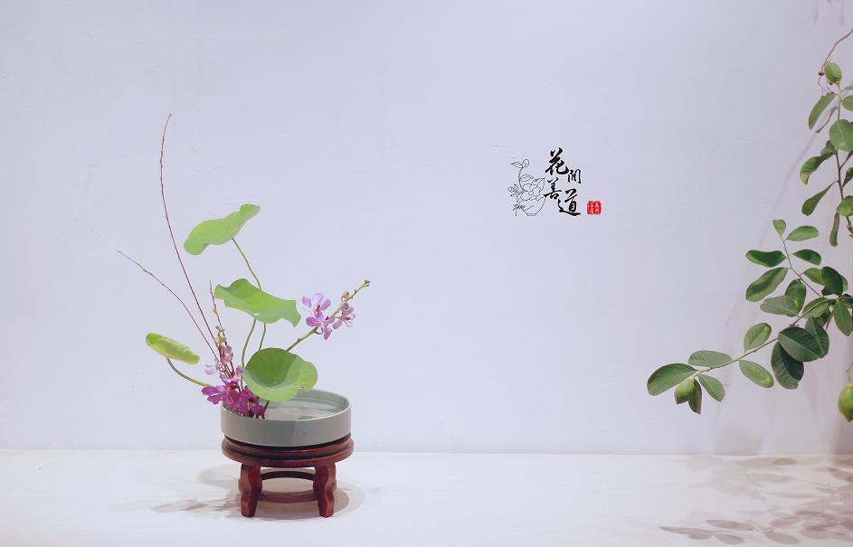 茶席上，听花开的声音