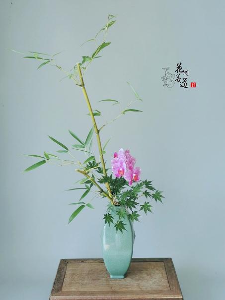 茶席上，听花开的声音
