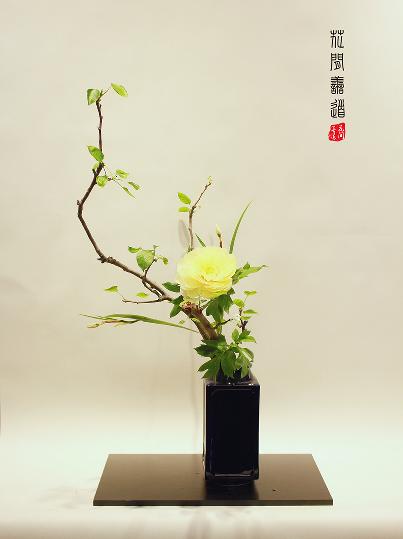 茶席上，听花开的声音