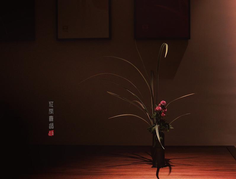 茶席上，听花开的声音